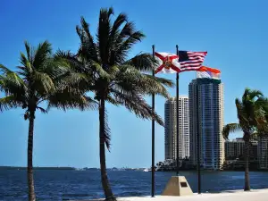 Tenis Miami 2026