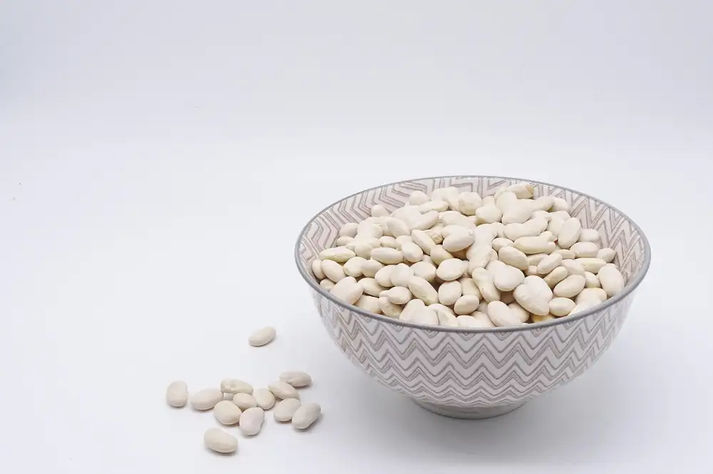 Protein Sleva