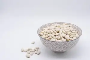 Protein Sleva