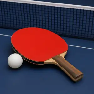 Pálka Na Stolní Tenis